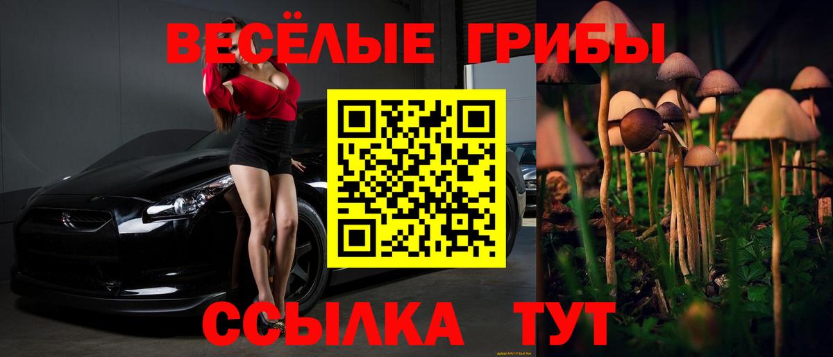 Псилоцибиновые грибы Psilocybe  Вход с VPN  Кисловодск 