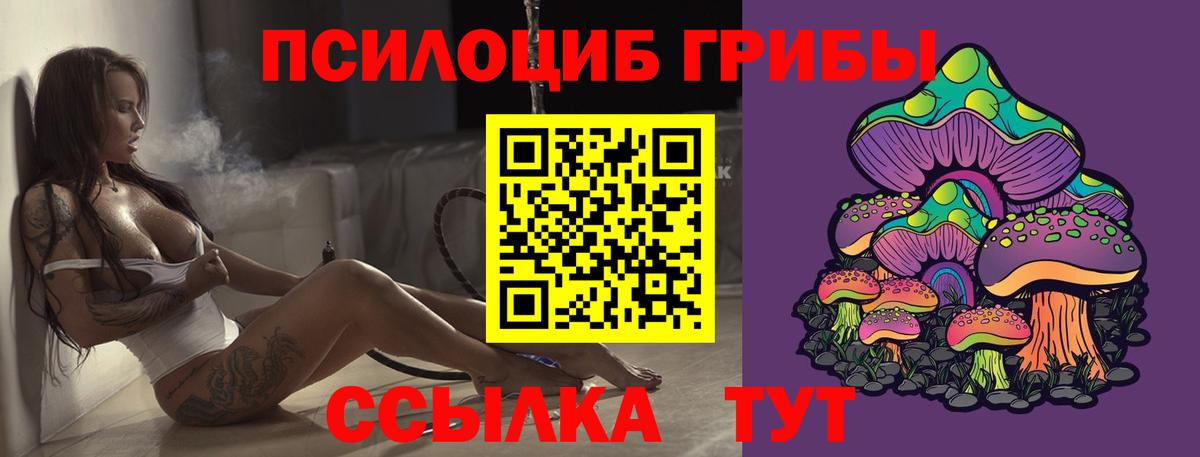 Псилоцибиновые грибы Cubensis Кисловодск
